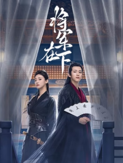 将军在下第01集