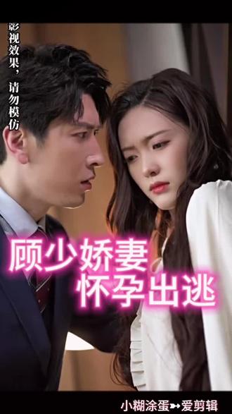 顾少娇妻怀孕出逃15-29集