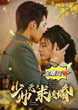 少帅天天求复婚1-20集