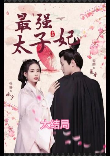 最强太子妃41-60集