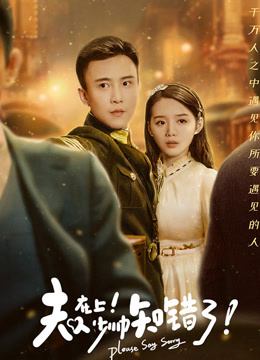 夫人在上,少帅知错了1-20集