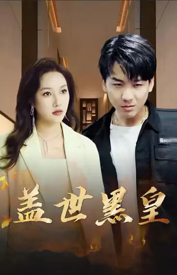 盖世黑皇21-40集