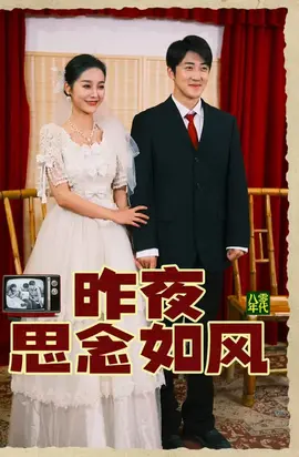 昨夜思念如风41-60集