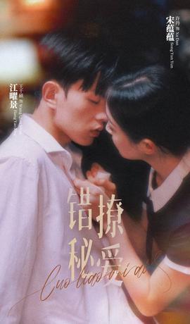 错撩秘爱全集(大结局)