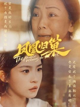 凤凰归巢全集(大结局)
