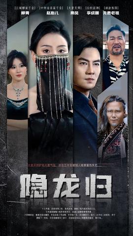 隐龙归全集(大结局)