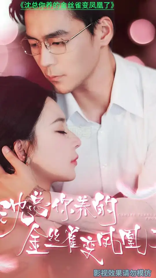 沈总你养的金丝雀变凤凰了全集(大结局)