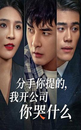 分手你提的，我开公司你哭什么全集(大结局)