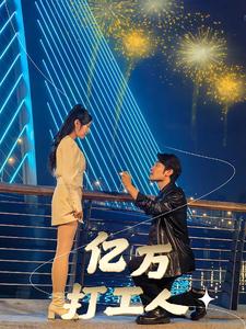 亿万打工人全集(大结局)