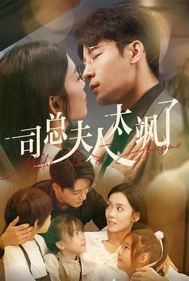 司总夫人太飒了全集(大结局)