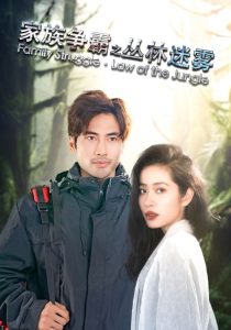 家族争霸之丛林迷雾全集(大结局)