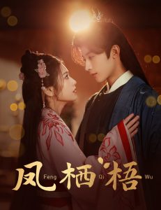 凤栖梧全集(大结局)