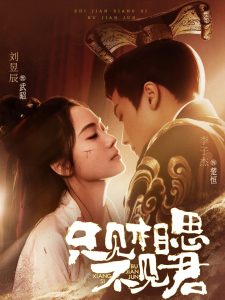 只见相思不见君全集(大结局)