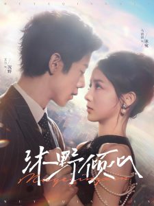 沐野倾心全集(大结局)