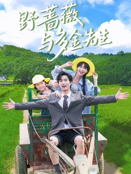 野蔷薇与多金先生(全集)